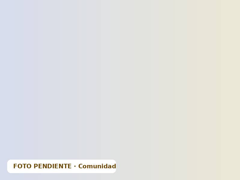 Foto pendiente: voluntarios o actividad comunitaria